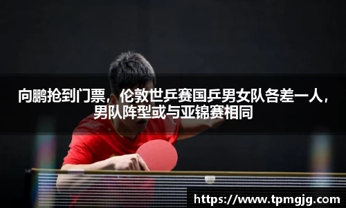 向鹏抢到门票，伦敦世乒赛国乒男女队各差一人，男队阵型或与亚锦赛相同